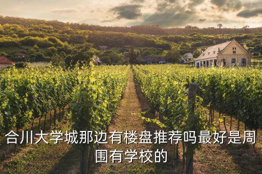 合川大学城那边有楼盘推荐吗最好是周围有学校的