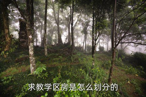 求教学区房是怎么划分的