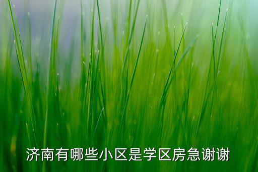 济南有哪些小区是学区房急谢谢