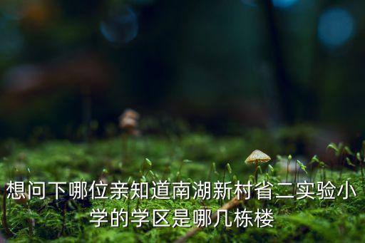 想问下哪位亲知道南湖新村省二实验小学的学区是哪几栋楼