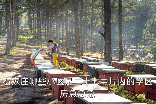 石家庄哪些小区是二十七中片内的学区房急急急