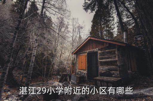 湛江29小学附近的小区有哪些