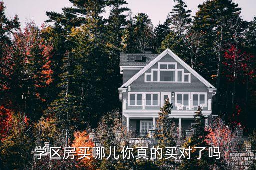 学区房买哪儿你真的买对了吗