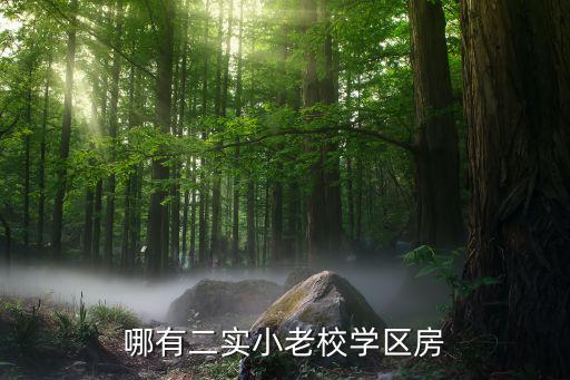 哪有二实小老校学区房