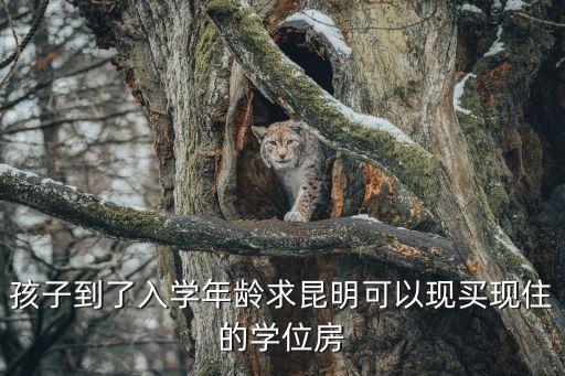 双城区学区房有哪些，双城市兆麟中学附近有哪些小区