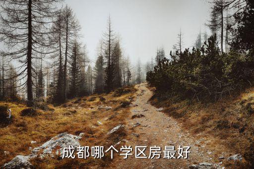 成都哪个学区房最好