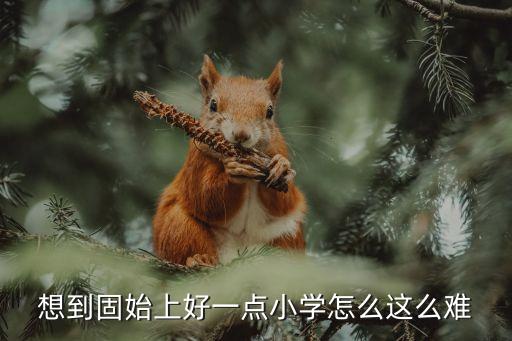 固始县哪个学区房好，固始香格里拉小区在哪