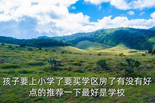 湛山哪个小区学区房好，孩子要上小学了要买学区房了有没有好点的推荐一下最好是学校