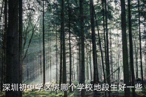 深圳初中学区房哪个学校地段生好一些