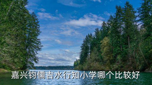 嘉兴钧儒吉水行知小学哪个比较好