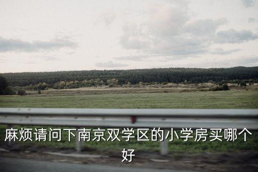 麻烦请问下南京双学区的小学房买哪个好