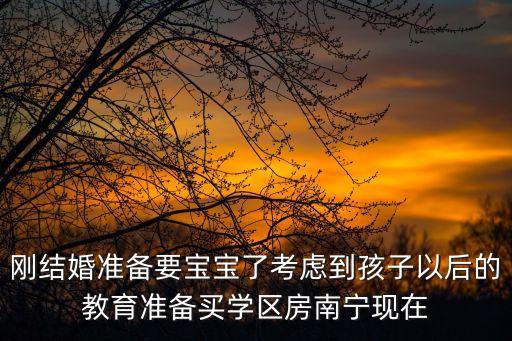 刚结婚准备要宝宝了考虑到孩子以后的教育准备买学区房南宁现在