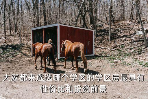大家都来选选哪个学区的学区房最具有性价比和投资前景