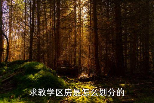 国际景园学区房是哪个小学，求教学区房是怎么划分的