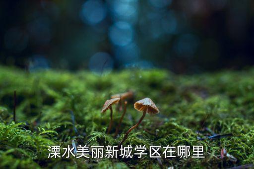 溧水美丽新城学区在哪里