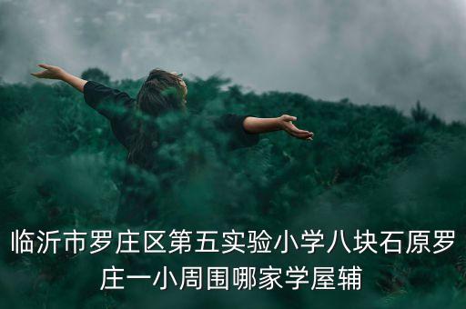 临沂市罗庄区第五实验小学八块石原罗庄一小周围哪家学屋辅