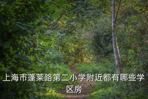 上海市蓬莱路第二小学附近都有哪些学区房