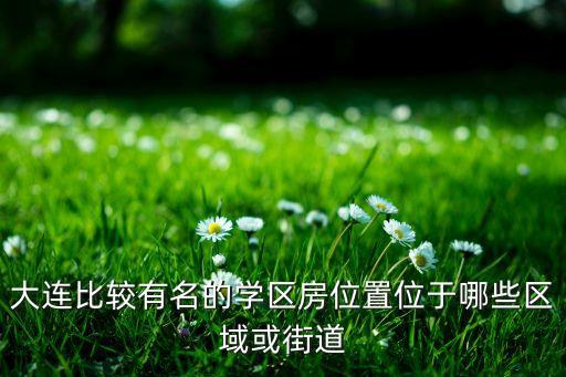 大连市内哪个学区房好，大连市开发区哪个小学初中最好有没有好的双学区房推荐下  搜