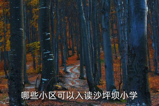 哪些小区可以入读沙坪坝小学