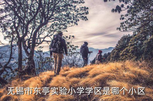 无锡市东亭实验小学学区是哪个小区