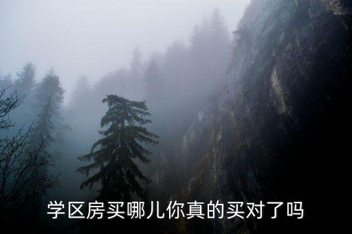 红谷滩二中学区房哪个好，南昌市红谷滩哪家楼盘对小孩读书能选好学校
