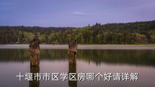 十堰市市区学区房哪个好请详解