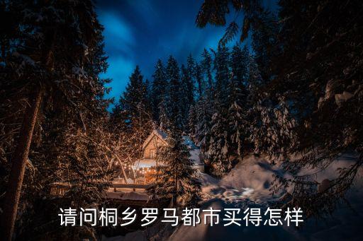 桐乡罗马都市学区房是哪个，请问桐乡罗马都市买得怎样