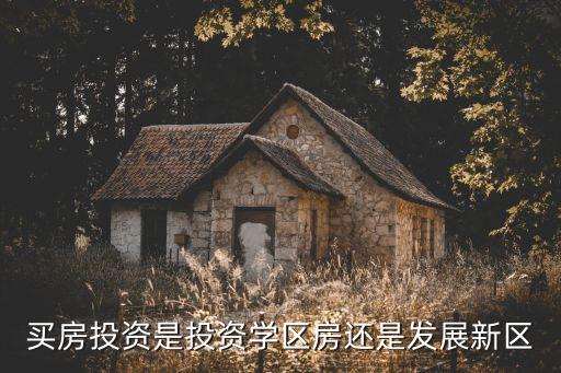 买房投资是投资学区房还是发展新区