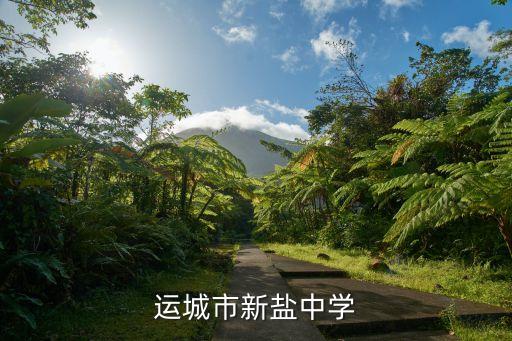 运城市新盐中学