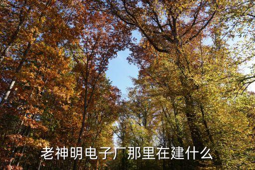 老神明电子厂那里在建什么