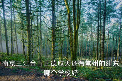 南京三江金肯正德应天还有常州的建东哪个学校好