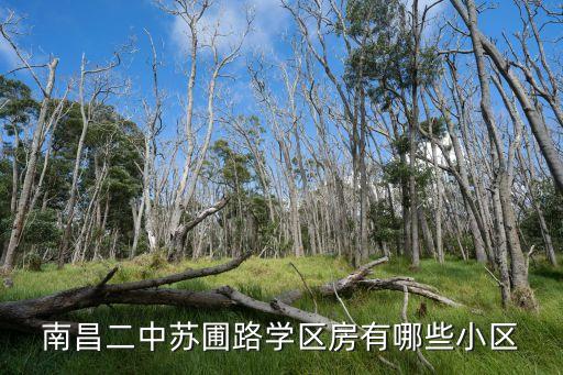 南昌二中苏圃路学区房有哪些小区