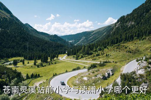 苍南县哪个学区房好，小学升初中 苍南那所学校好