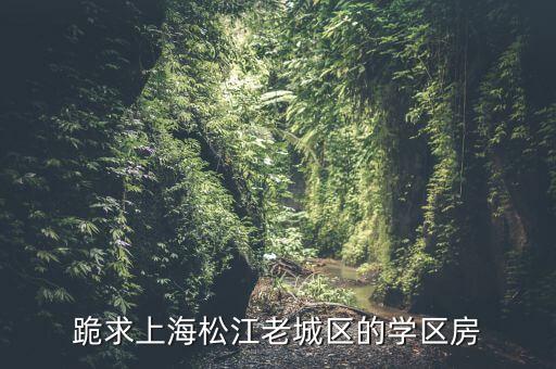 上海主城区学区房有哪些，上海 闵行 莘庄的小区西湖苑是学区房吗对口哪些学校