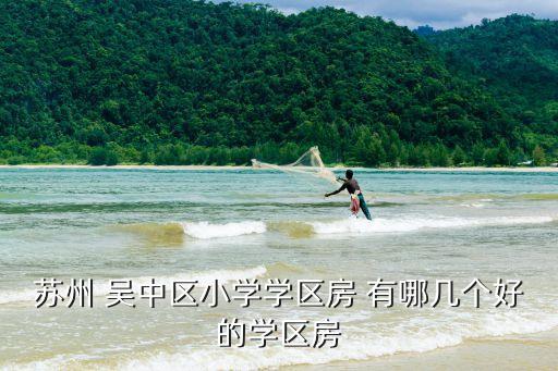 苏州 吴中区小学学区房 有哪几个好的学区房