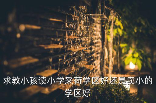 求教小孩读小学采荷学区好还是卖小的学区好