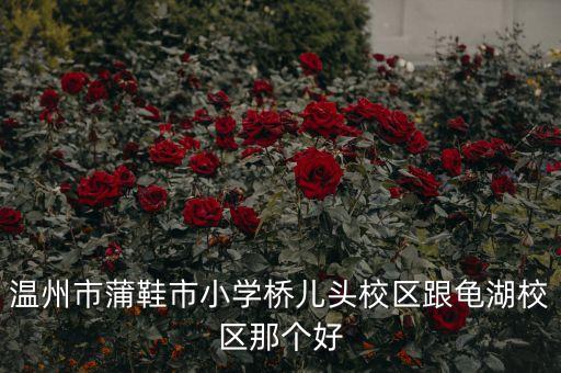 温州是哪个学区房最好，现在温州买学区房上小学排名前三名才考虑谁帮忙推荐一下