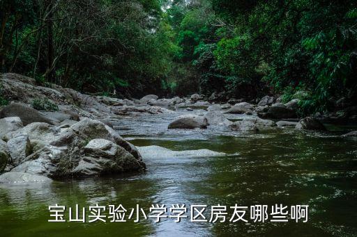 宝山实验小学学区房友哪些啊