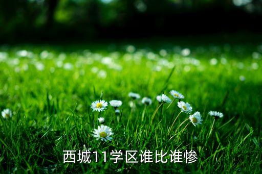 西城11学区谁比谁惨