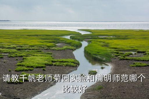 请教千帆老师菊园实验和浦明师范哪个比较好