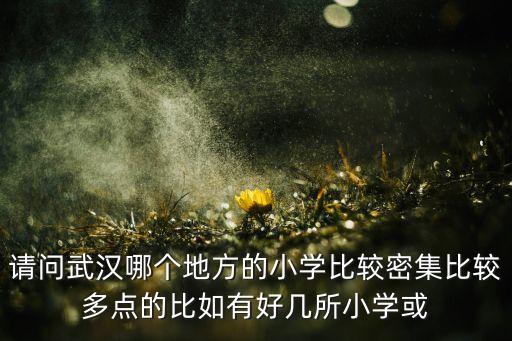 请问武汉哪个地方的小学比较密集比较多点的比如有好几所小学或
