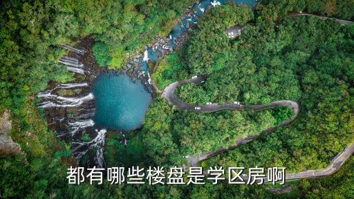 都有哪些楼盘是学区房啊