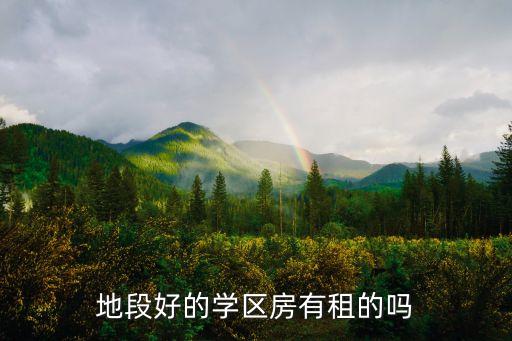 地段好的学区房有租的吗