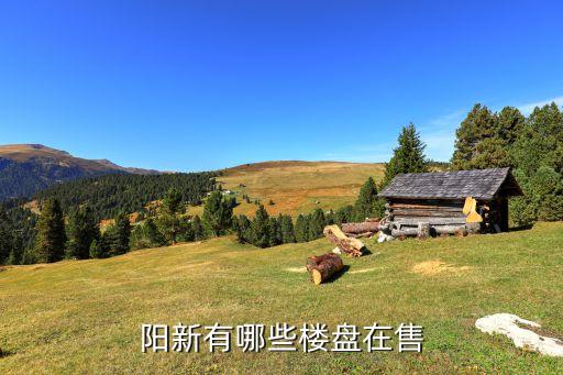 阳新有哪些楼盘在售