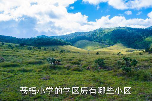苍梧学区房有哪些，都有哪些楼盘是学区房啊
