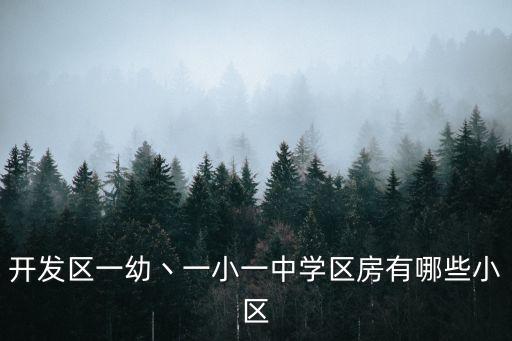 开发区一幼丶一小一中学区房有哪些小区