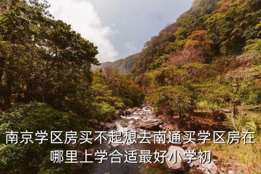 南京学区房买不起想去南通买学区房在哪里上学合适最好小学初