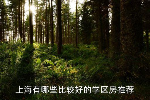 上海有哪些比较好的学区房推荐