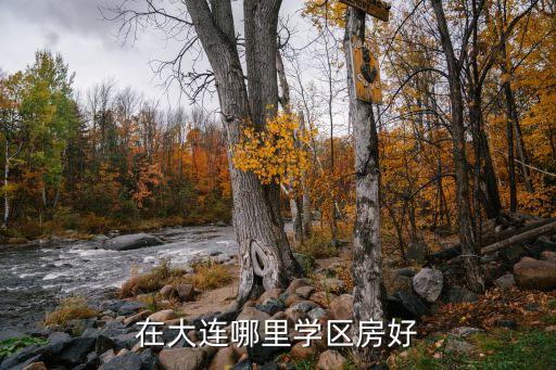 在大连哪里学区房好
