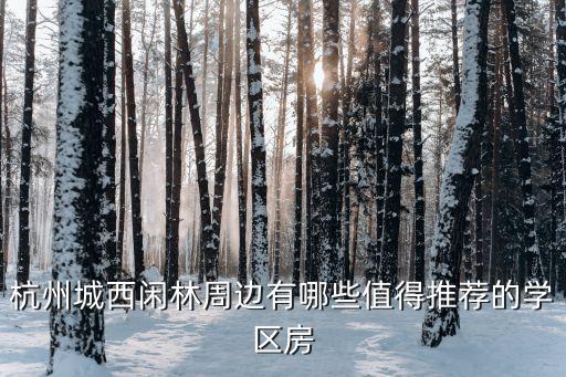 杭州城西闲林周边有哪些值得推荐的学区房